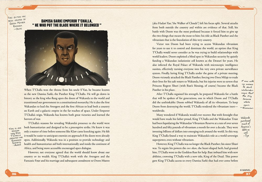 Black Panther: Protectors of Wakanda