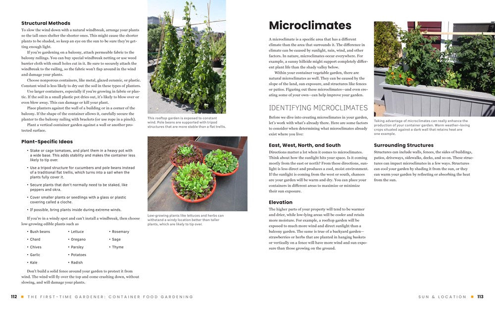 The First-Time Gardener: Container Food Gardening