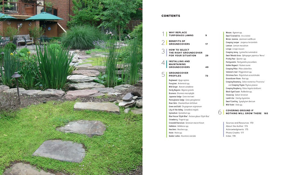 Groundcover Revolution