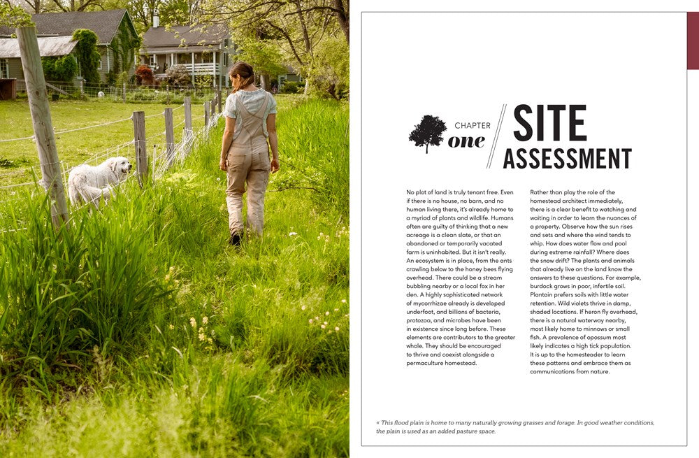 The Sustainable Homestead