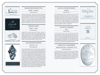 The Wine Bible