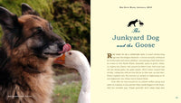 Unlikely Friendships: Dogs