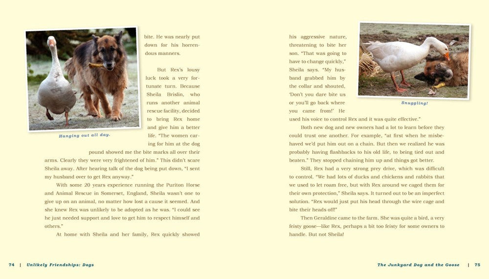 Unlikely Friendships: Dogs
