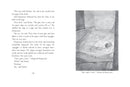 The Tale of Despereaux: Being the Story of a Mouse, a Princess, Some Soup, and a Spool of Thread (A Middle-Grade Classic About Courage, Friendship, and Forgiveness for Kids Ages 7-10)