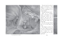 The Tale of Despereaux: Being the Story of a Mouse, a Princess, Some Soup, and a Spool of Thread (A Middle-Grade Classic About Courage, Friendship, and Forgiveness for Kids Ages 7-10)