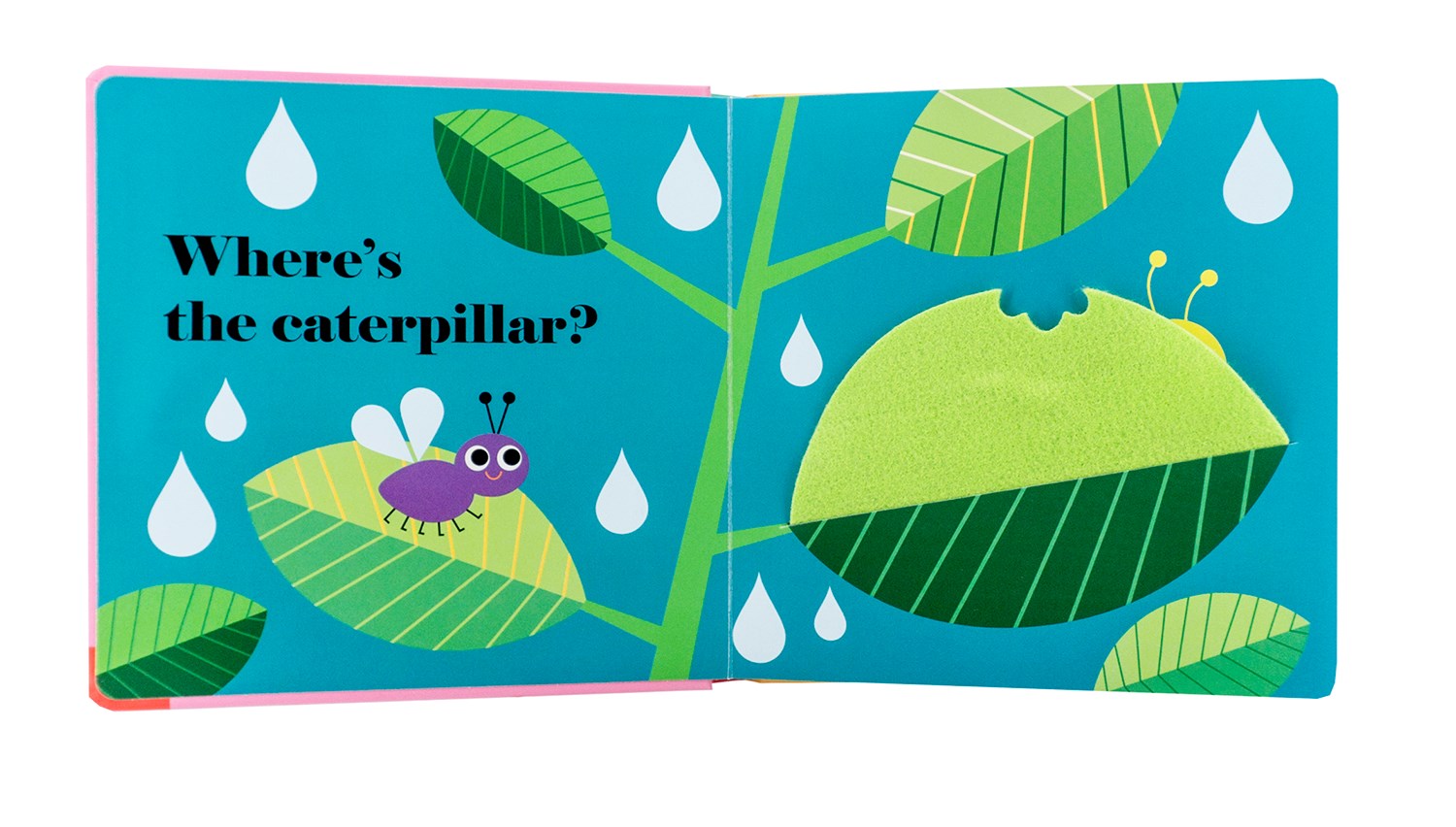 Where's the Ladybug?