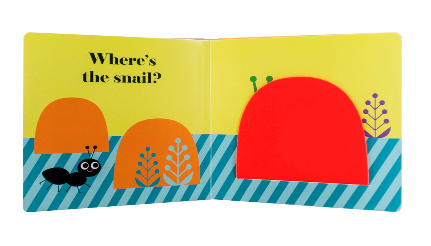 Where's the Ladybug?