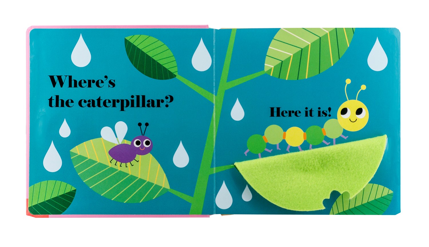 Where's the Ladybug?