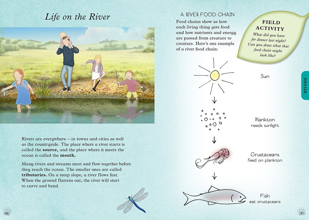 We're Going on a Bear Hunt: My Adventure Field Guide