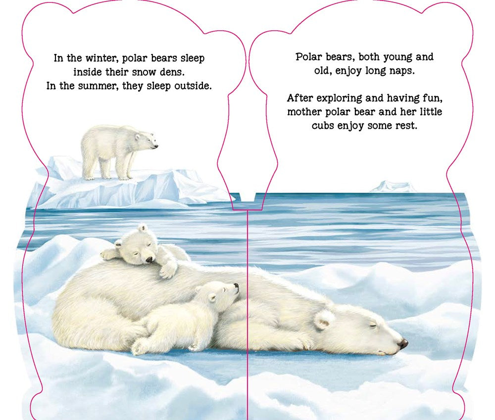 Little Polar Bear