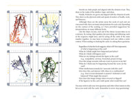 The Transparent Tarot (2nd Edition)