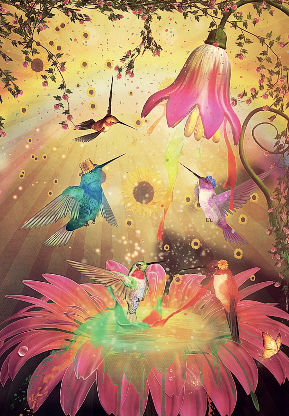 Hummingbird Wisdom Oracle Cards