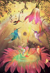 Hummingbird Wisdom Oracle Cards