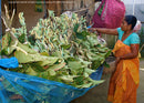 In Search of Wild Silk