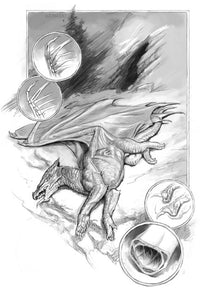 A Natural History of Dragons