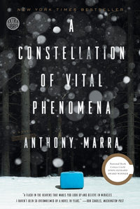 A Constellation of Vital Phenomena: A Novel