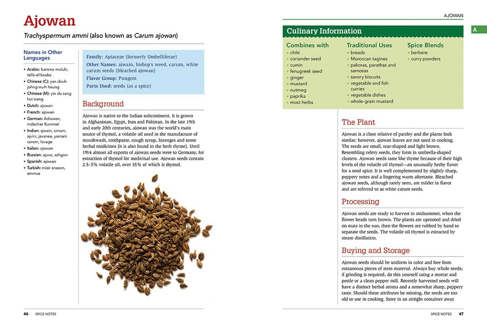 The Spice and Herb Bible