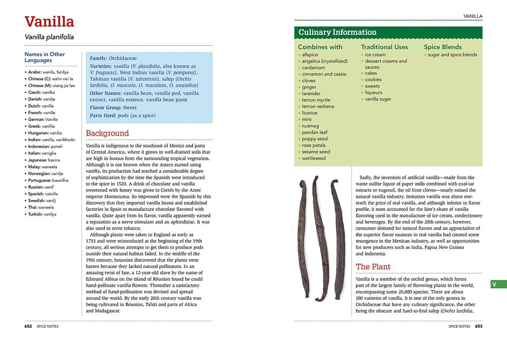 The Spice and Herb Bible