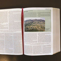 NKJV Study Bible, Hardcover, Burgundy, Full-Color, Comfort Print