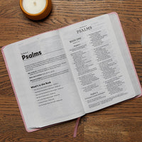 NKJV, Holy Bible for Kids, Verse Art Cover Collection, Leathersoft, Purple, Comfort Print