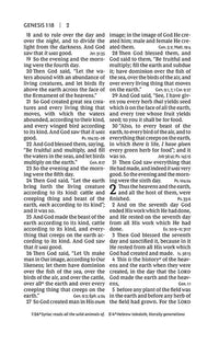 NKJV, Personal Size Large Print End-of-Verse Reference Bible, Verse Art Cover Collection, Leathersoft, Brown, Red Letter, Thumb Indexed, Comfort Print