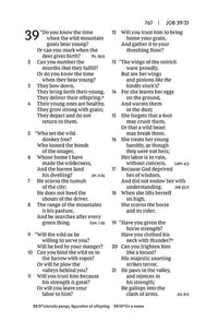 NKJV, Personal Size Large Print End-of-Verse Reference Bible, Verse Art Cover Collection, Leathersoft, Brown, Red Letter, Thumb Indexed, Comfort Print