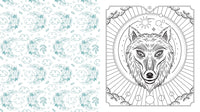 Moon Magic Coloring Book