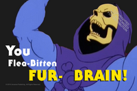 What Would Skeletor Do?