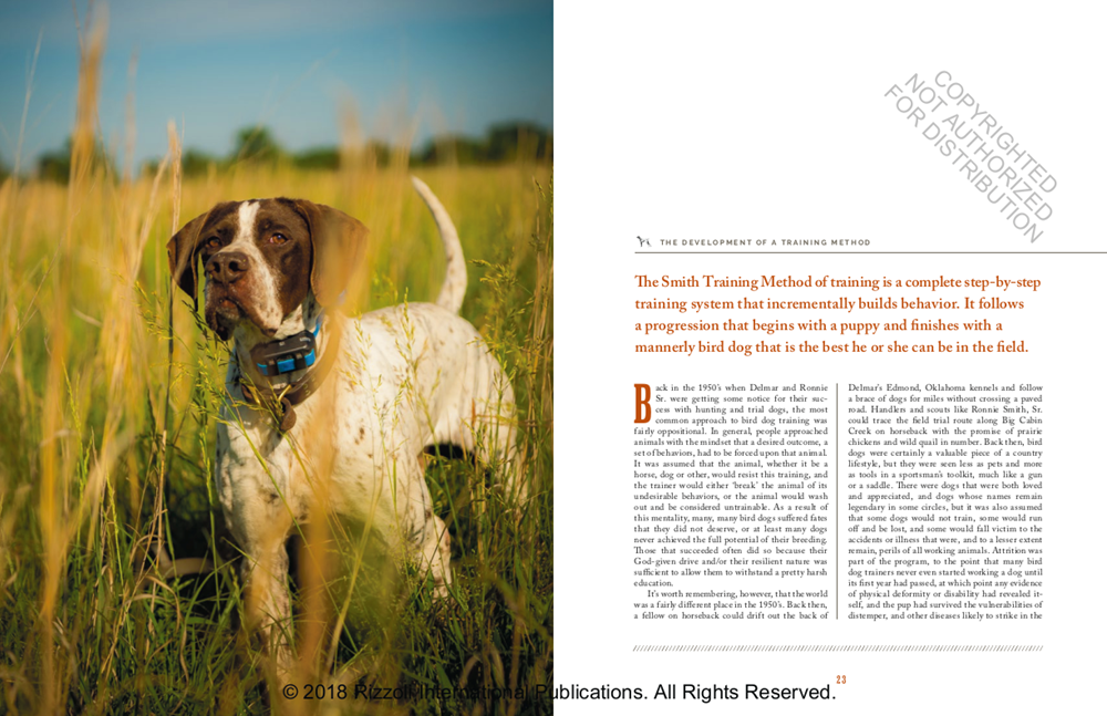 Training Bird Dogs with Ronnie Smith Kennels