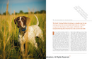 Training Bird Dogs with Ronnie Smith Kennels