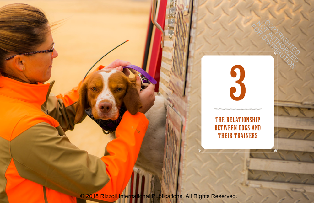 Training Bird Dogs with Ronnie Smith Kennels