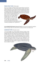 The Wildlife of Costa Rica