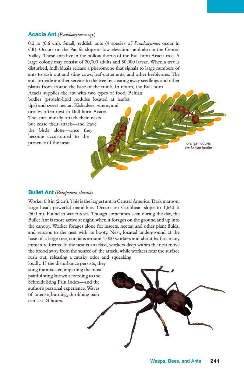 The Wildlife of Costa Rica