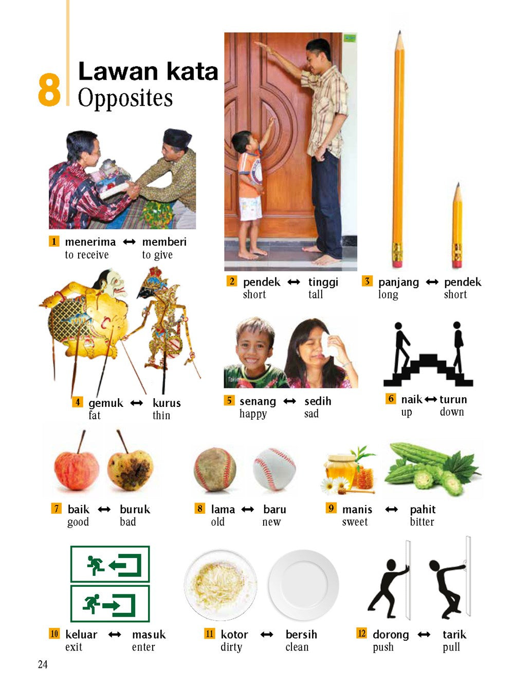 Indonesian Picture Dictionary