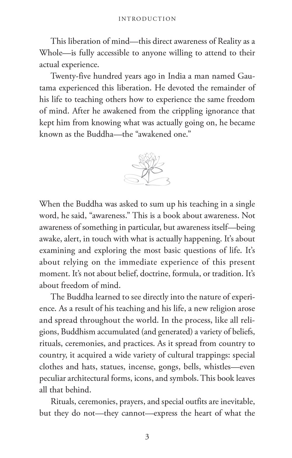 Buddhism Plain and Simple