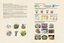 A Beginner's Guide to Succulent Gardening