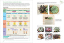 A Beginner's Guide to Succulent Gardening
