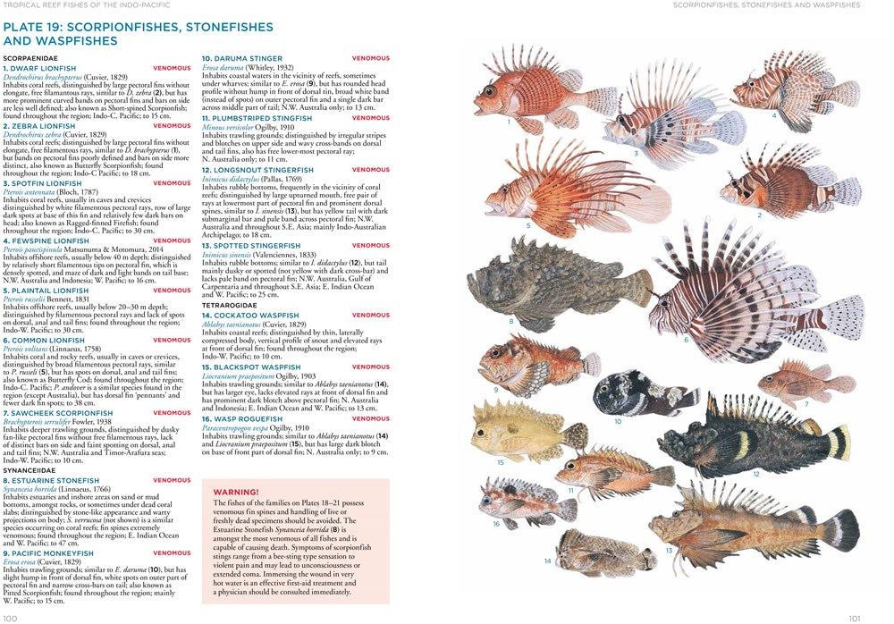 A Field Guide to Tropical Reef Fishes of the Indo-Pacific