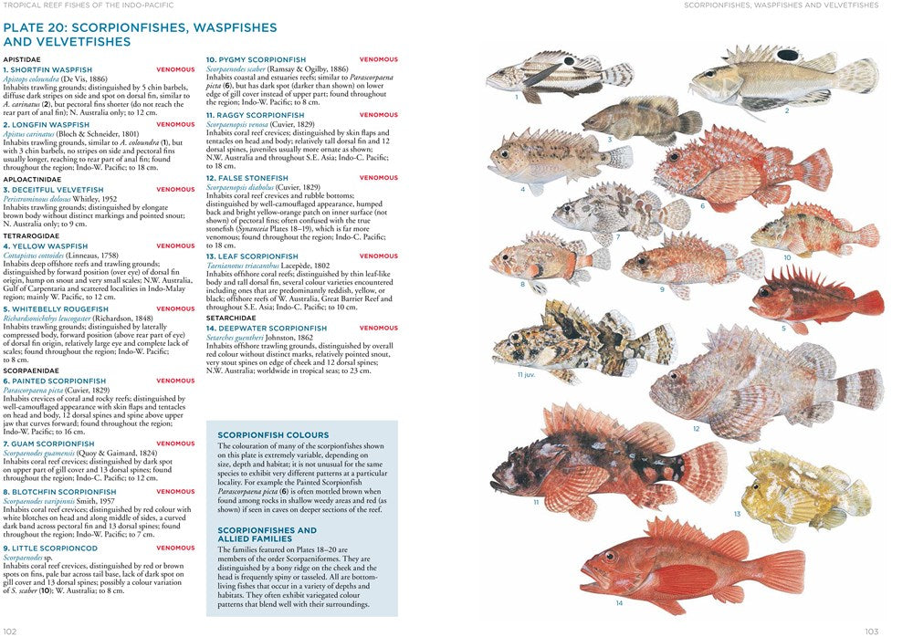 A Field Guide to Tropical Reef Fishes of the Indo-Pacific