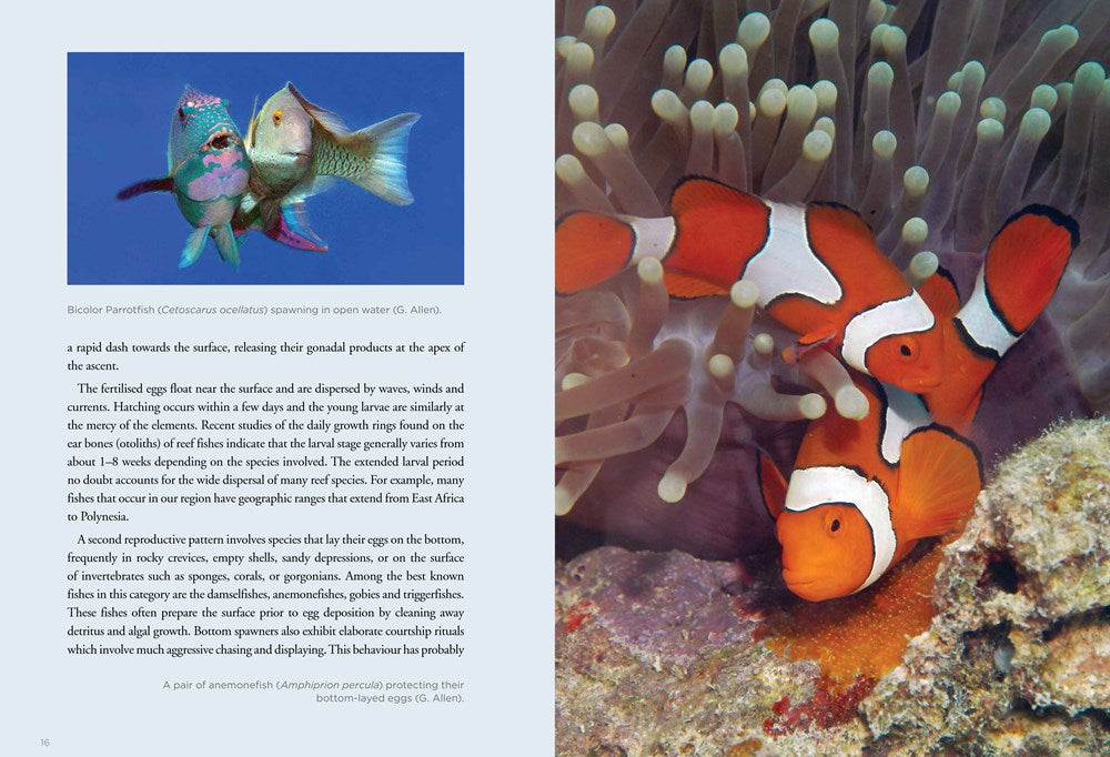 A Field Guide to Tropical Reef Fishes of the Indo-Pacific
