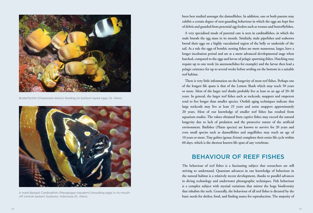 A Field Guide to Tropical Reef Fishes of the Indo-Pacific