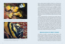 A Field Guide to Tropical Reef Fishes of the Indo-Pacific