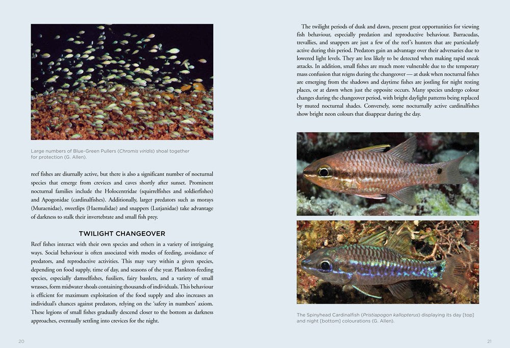 A Field Guide to Tropical Reef Fishes of the Indo-Pacific