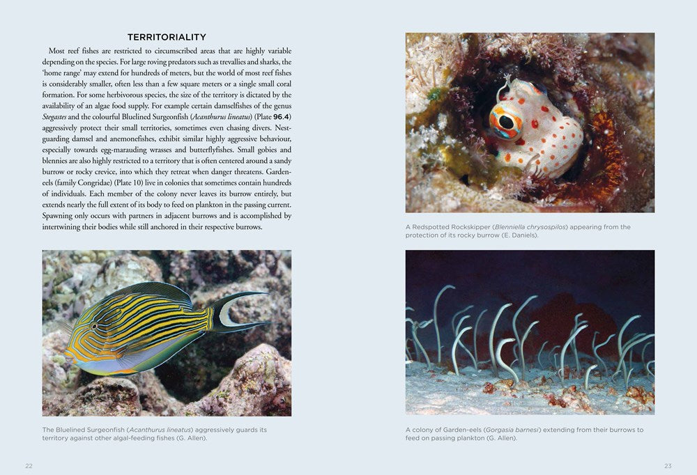 A Field Guide to Tropical Reef Fishes of the Indo-Pacific