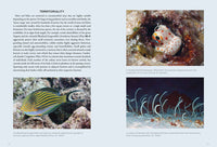 A Field Guide to Tropical Reef Fishes of the Indo-Pacific