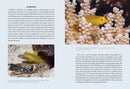 A Field Guide to Tropical Reef Fishes of the Indo-Pacific
