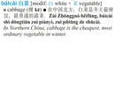 Tuttle Learner's Chinese-English Dictionary