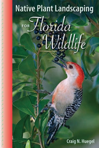 Native Plant Landscaping for Florida Wildlife