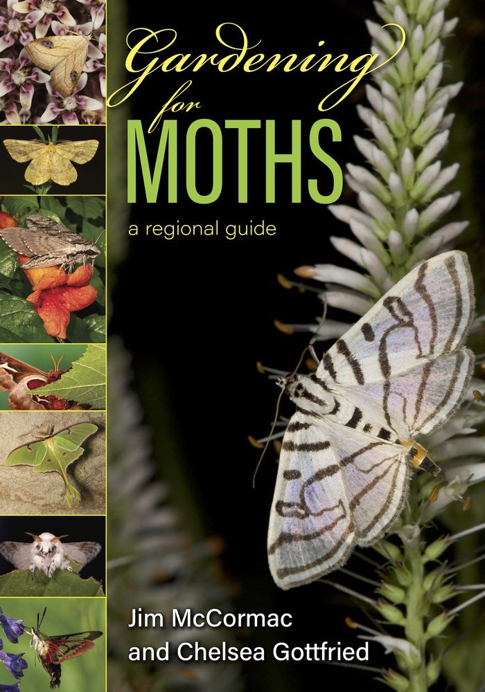 Gardening for Moths: A Regional Guide