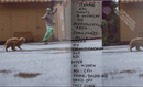 Mark Gonzales